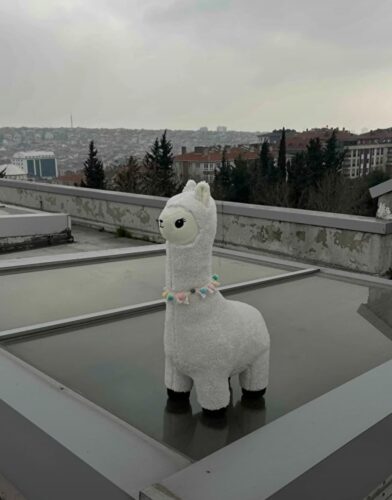 Oyun ve Uyku Arkadaşım Peluş Lama - Beyaz photo review